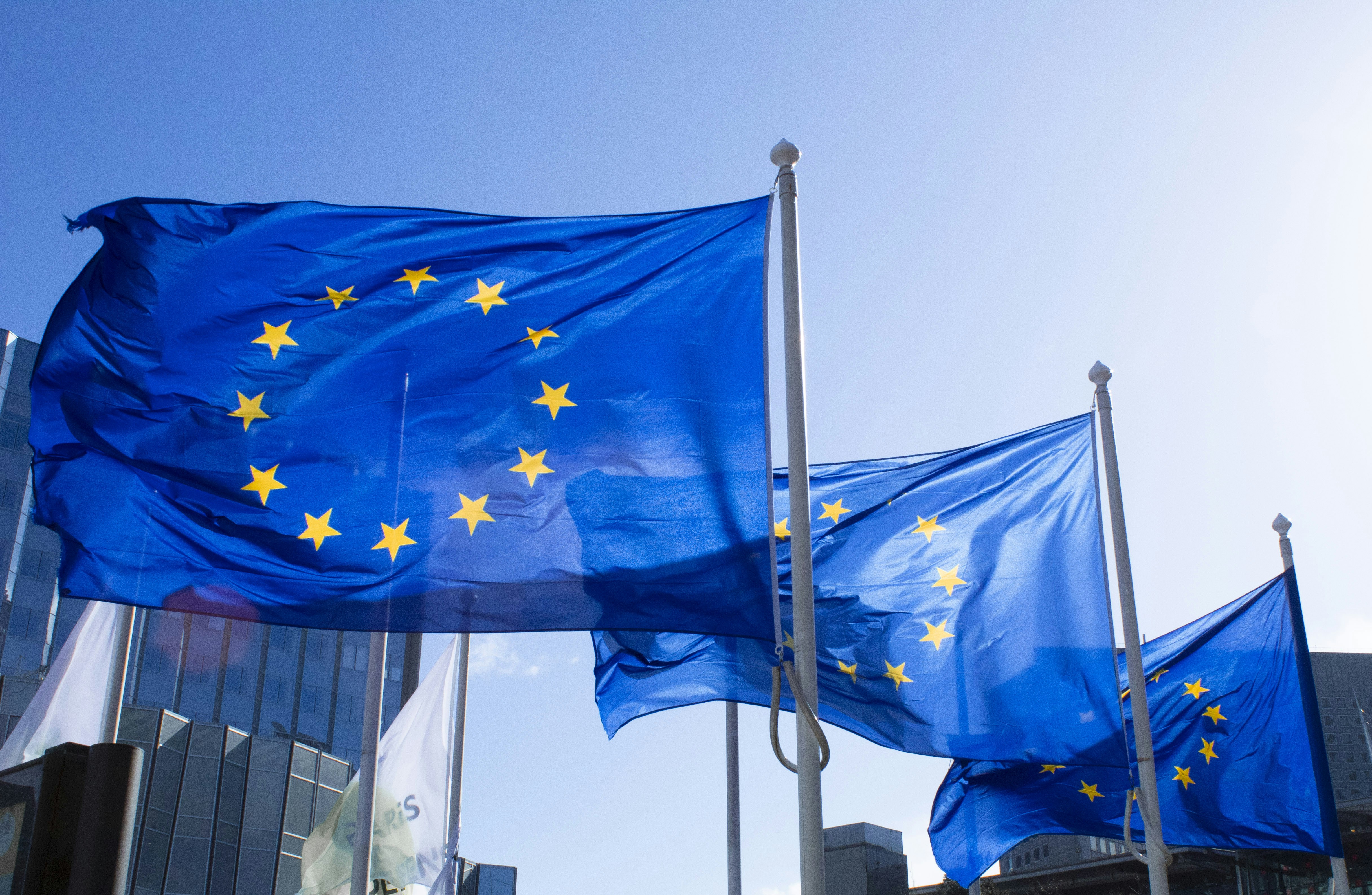 EU flags flying on flagpoles outside a modern office building