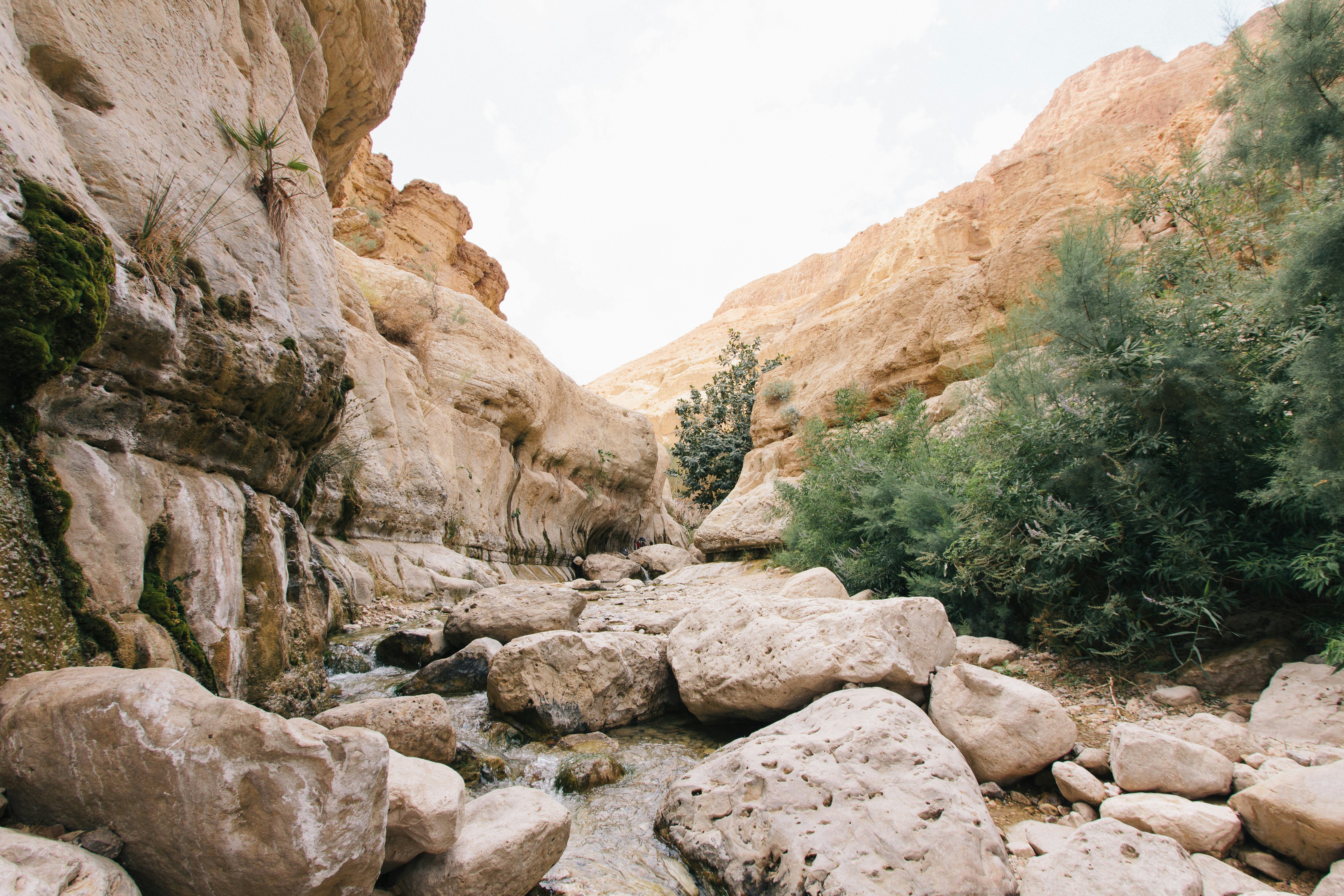 A rocky gorge with boulders and green shrubs under a pale sky