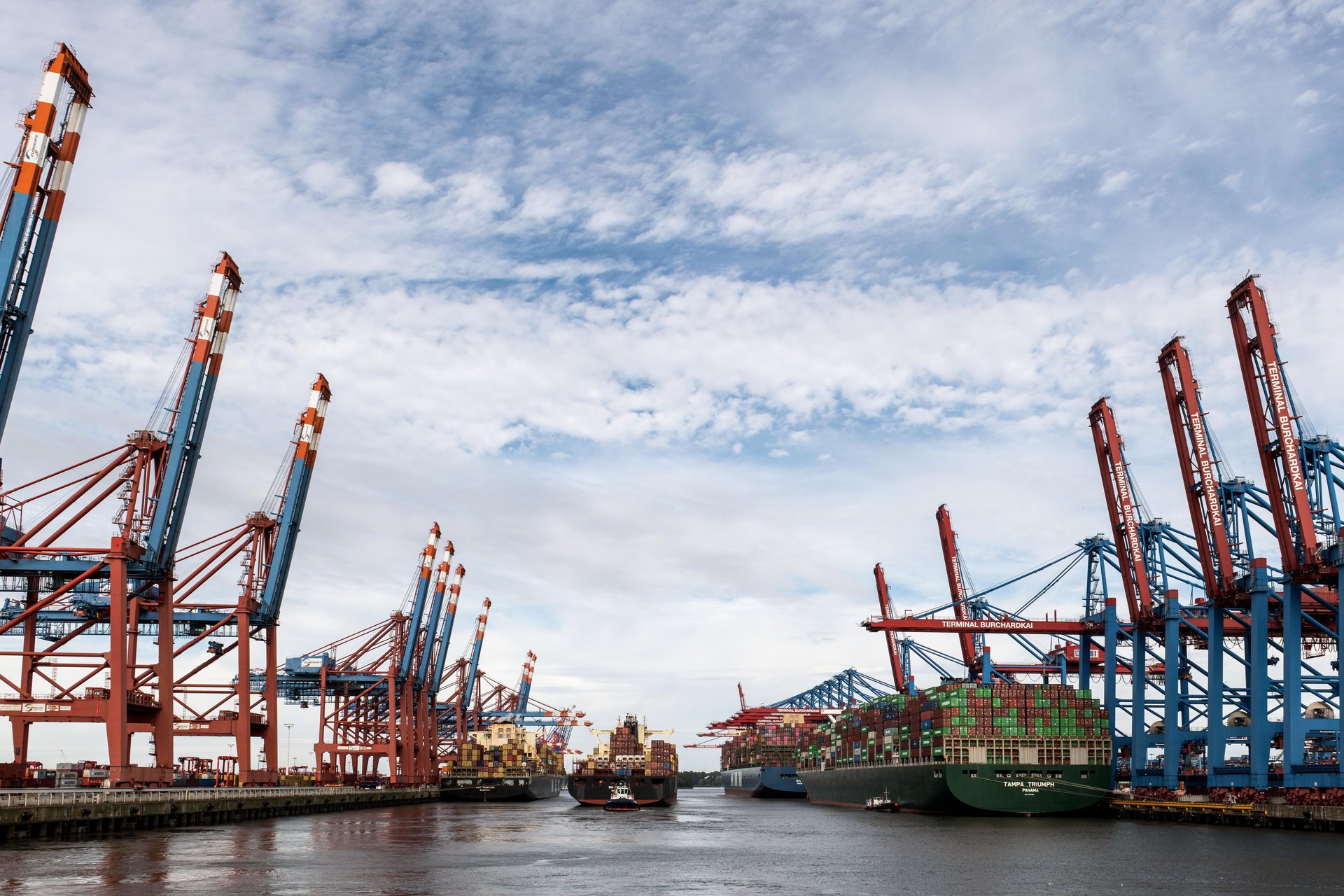 Container ships and cranes at a busy port